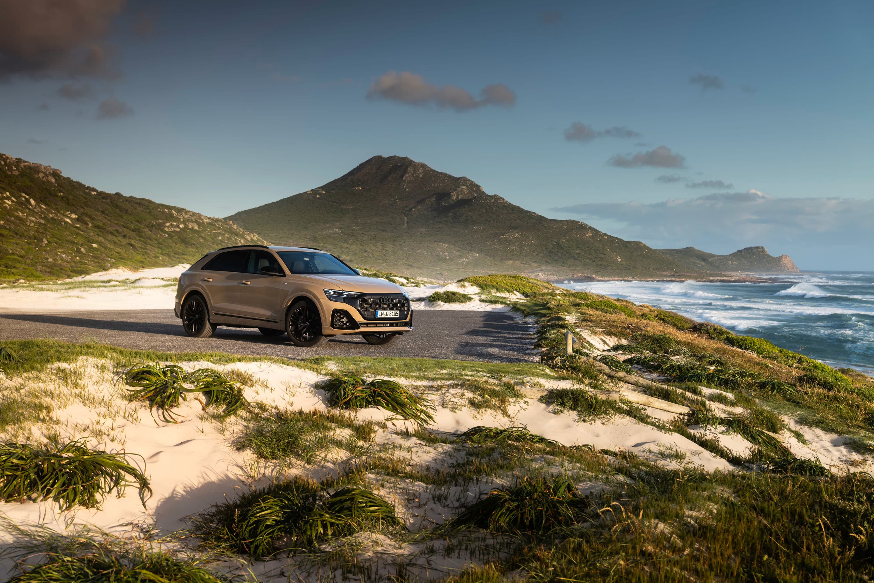 Audi Q8 4M, galerijos nuotrauka 2