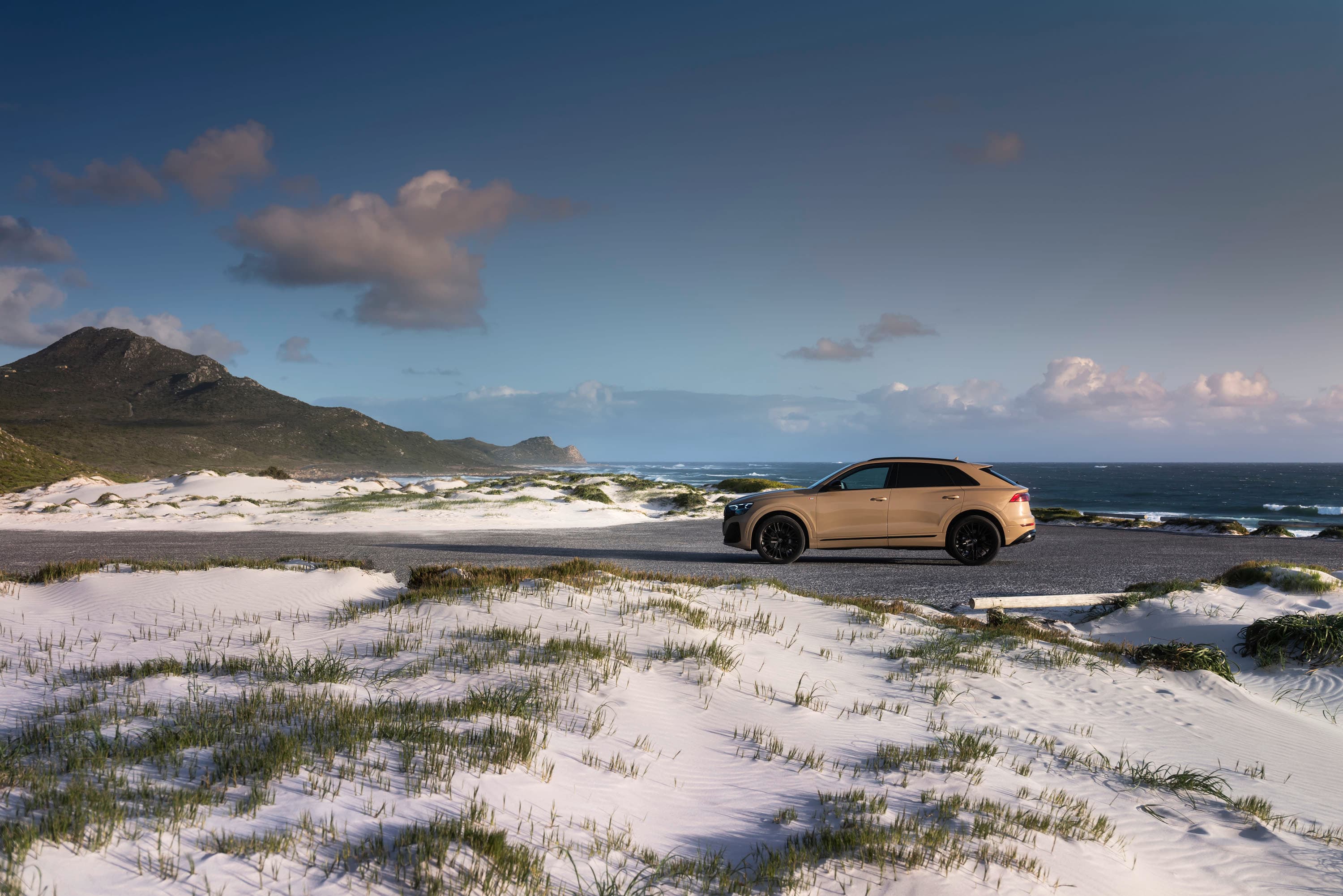 Audi Q8 4M, galerijos nuotrauka 4