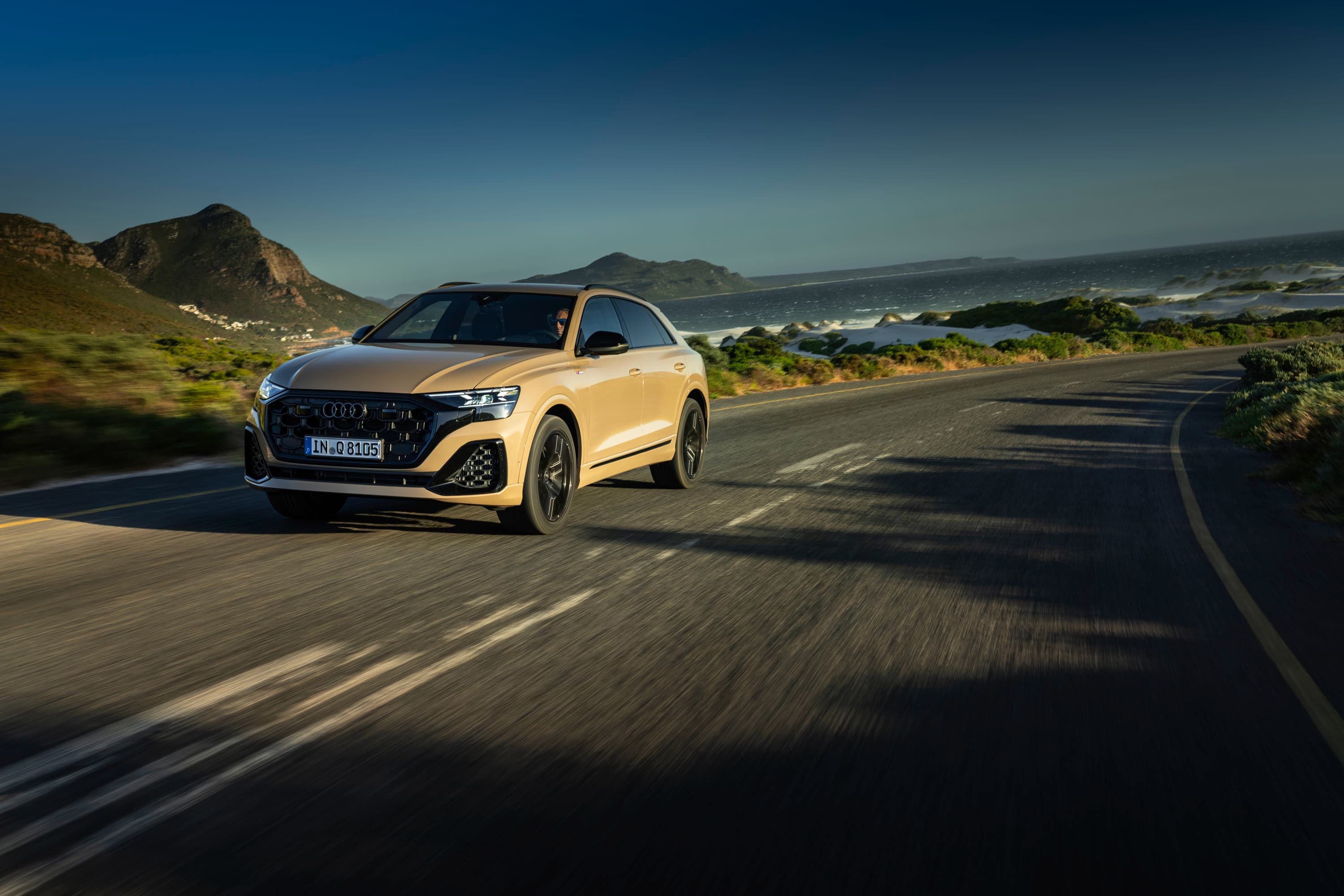 Audi Q8 4M, galerijos nuotrauka 3